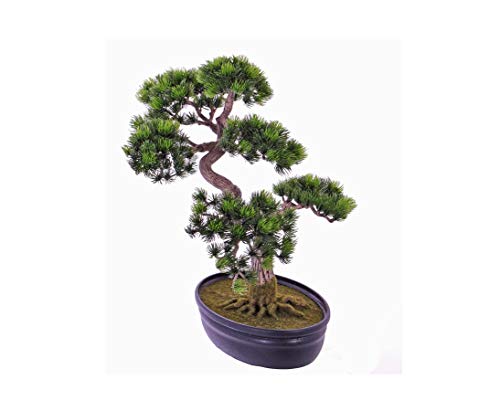 kunstpflanzen-discount.com Künstlicher Japanischer Pinien Bonsai Baum mit ca. 318 Blättern, ca. 40cm hoch in Schale von kunstpflanzen-discount.com