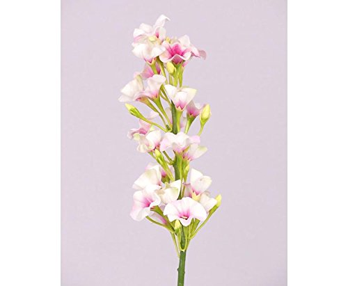 kunstpflanzen-discount.com Künstliche Flammenblume Phlox ca. 35cm hoch - Zierblume rosa weiß blühend von kunstpflanzen-discount.com