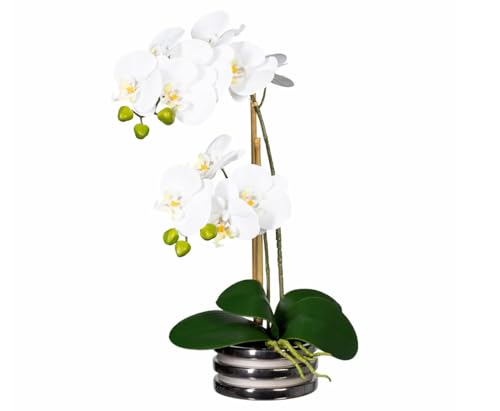 kunstpflanzen-discount.com Künstliche Orchidee 50cm hoch mit Creme-weißen Blüten und grünen Knospen im silbernen Topf von kunstpflanzen-discount.com