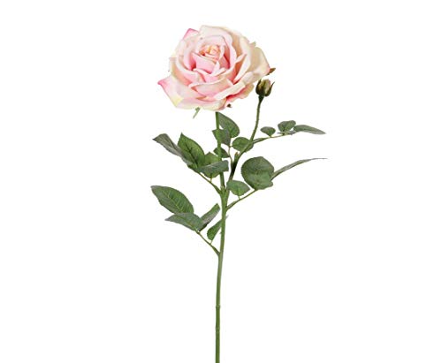 kunstpflanzen-discount.com Künstliche Rose 70cm am Langen Stiel mit rosa-weiß Farbiger 12cm großer Blüte - Alice de Luxe von kunstpflanzen-discount.com