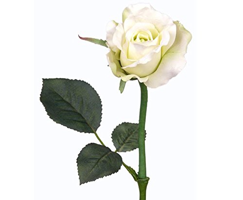 kunstpflanzen-discount.com Künstliche Rose Alice Kunstrose am Stiel mit 8cm großer weiß-grüner Blüte von kunstpflanzen-discount.com