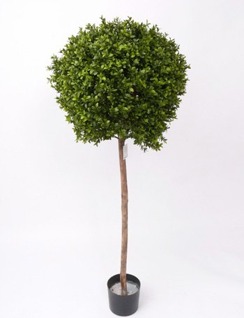 kunstpflanzen-discount.com Künstlicher Buchsbaum ca. 140cm hoch und 45cm Durchmesser auf Naturstamm - Buchskugel am Stamm im Topf von kunstpflanzen-discount.com