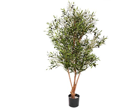 kunstpflanzen-discount.com Künstlicher Olivenbaum 170cm hoch mit Naturstamm, 4160 Blätter in B1 schwer entflammbar und 120 Oliven Früchten kunstpflanzen-discount.com Künstlicher Olivenbaum 170cm hoch mit Naturstamm, 4160 Blätter in B1 schwer entflammbar und 120 Oliven Früchten von kunstpflanzen-discount.com
