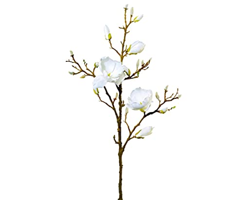 kunstpflanzen-discount.com Künstlicher blühender Magnolien Zweig 100cm mit weißen Blüten und haarigen, pelzigen Knospen von kunstpflanzen-discount.com