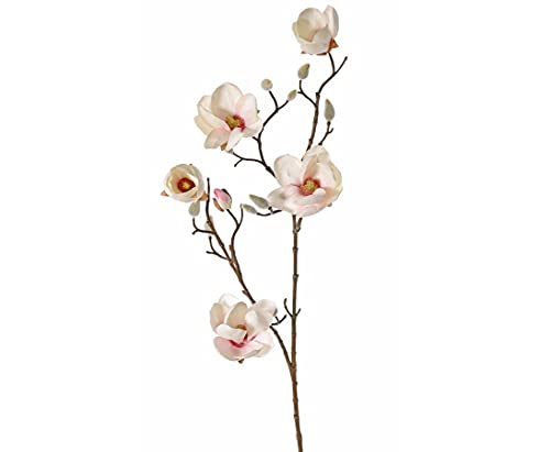 Kunstzweig Magnolia mit 5 weißen Blüten, Länge 80cm - Künstlicher Magnolienzweig Magnolienblüten Dekozweig mit Knospen von kunstpflanzen-discount.com