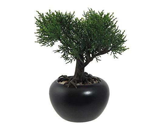 kunstpflanzen-discount.com Mini Bonsai Zeder ca. 19cm hoch im wertigen Keramiktopf mit Kieselsteinen - Kleiner Bonsaibaum Kunstbonsai naturgetreu von kunstpflanzen-discount.com