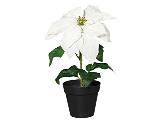 kunstpflanzen-discount.com Weihnachtsstern 35cm mit Creme Farbiger Blüte im Topf von kunstpflanzen-discount.com