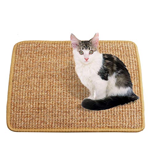 Kratzmatte Katzen, 30*40cm Sisal Matte Kratzbrett Sofa Sisalteppich Katze Kratzspielzeug für kleines Haustier von kuou