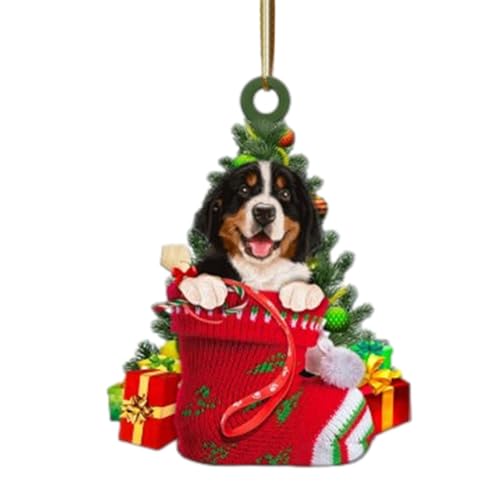 Sennenhund-Weihnachtsschmuck, 2D-Hunde-Weihnachtsbaumschmuck Aus Acryl, Lustige Hunde-Hängeaccessoires Für Den Weihnachtsbaum, Geschenke Für Hunde- Und Katzenliebhaber Sennenhund-Weihnachtsschmuck, 2D-Hunde-Weihnachtsbaumschmuck Aus Acryl, Lustige Hunde-Hängeaccessoires Für Den Weihnachtsbaum, Geschenke Für Hunde- Und Katzenliebhaber von kupan