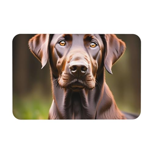 kurue Badematte mit braunem Labrador-Retriever-Druck, Kieselgur-Duschmatte, saugfähige Gummimatte für Dusche, Boden, Badezimmer, rutschfest kurue Badematte mit braunem Labrador-Retriever-Druck, Kieselgur-Duschmatte, saugfähige Gummimatte für Dusche, Boden, Badezimmer, rutschfest von kurue