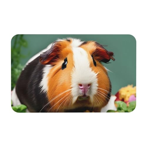 kurue Blume Meerschweinchen Druck Kieselgur Badematte Große rutschfeste Duschmatte mit Schnell Trocknender Badezimmer Bodenmatte von kurue
