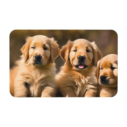 kurue Golden Retriever Hundewelpen Haustiere Druck Kieselgur Badematte Große rutschfeste Duschmatte mit schnell trocknender Badezimmer-Bodenmatte von kurue