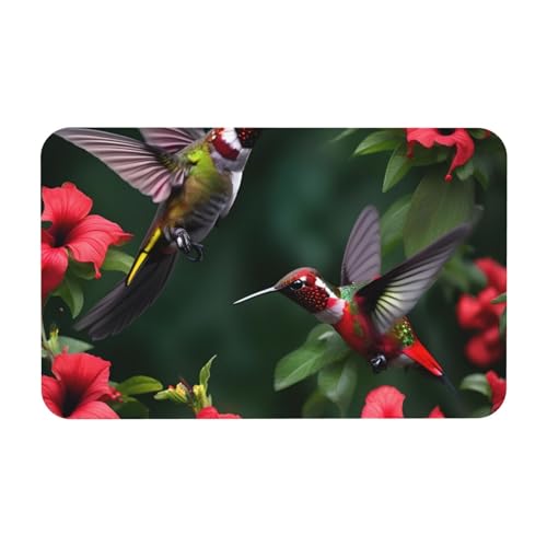 kurue Kolibris rote Blumen Hibiskus Druck Kieselgur Badematte Große rutschfeste Duschmatte mit schnell trocknender Badezimmer-Bodenmatte von kurue