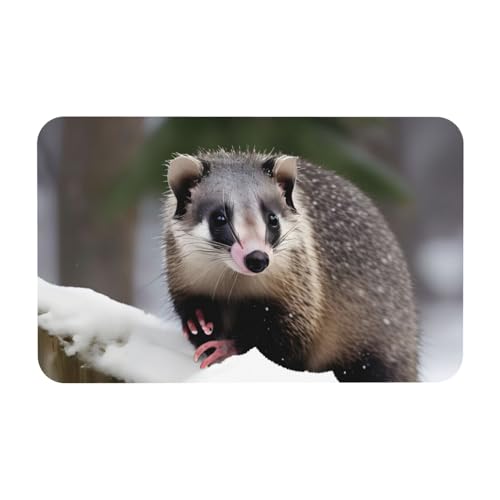 kurue Opossum im Schnee Druck Druck Kieselgur Badematte Große rutschfeste Duschmatte mit Schnell Trocknender Badezimmer Bodenmatte von kurue