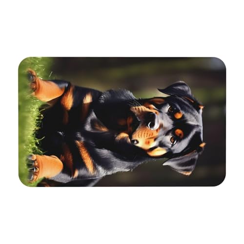 kurue Rottweiler Tapetendruck Kieselgur Badematte Große rutschfeste Duschmatte mit schnell trocknender Badezimmer Bodenmatte von kurue