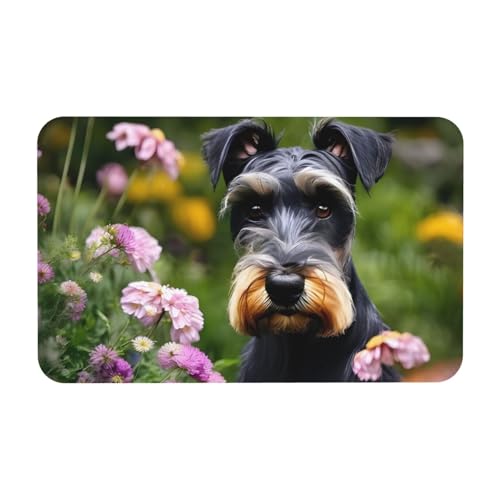 kurue Schnauzer Druck Kieselgur Badematte Groß rutschfest Duschmatte mit Schnell Trocknender Bad Bodenmatte von kurue