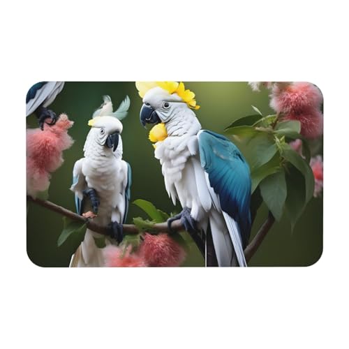 kurue Schöne Kakadu Vogel Blume Druck Kieselgur Badematte Große rutschfeste Duschmatte mit schnell trocknender Badezimmer Bodenmatte von kurue