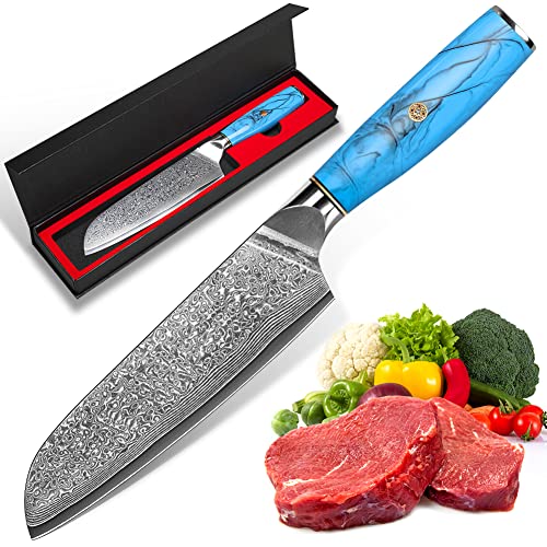 kyushublade Damast Kochmesser, Santoku Messer Küchenmesser aus 67 Schichten Damaststahl Messer mit Blaues Harz Ergonomischer Griff für Haushalt,Restaurant (Santokumesser) von kyushublade