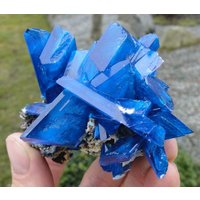 Extra Groß & Schön - Strahlend Blauer Chalcanthit Auf Matrix Aus Polen "- "Kupferblüte" Dekorative Kristallstufe Polen." Extra Groß & Schön - Strahlend Blauer Chalcanthit Auf Matrix Aus Polen "- "Kupferblüte" Dekorative Kristallstufe Polen." von labcrystals