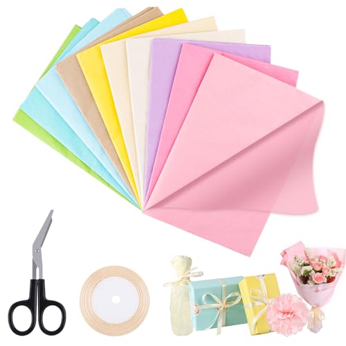 lahnao 100 Blatt Seidenpapier 50x70 cm, Seidenpapier Verpackungsmaterial, Seidenpapier Bunt, Seidenpapier zum Verpacken für Geburtstag, Hochzeit, Weihnachten (10 Farben) von lahnao