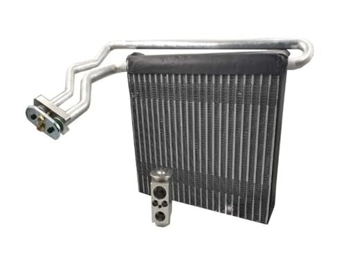 laiyonggr 1592099 31694274 Verdampferkern for Autoklimaanlage, kompatibel mit Ford Focus II Mk2 04–13, kompatibel mit VOLVO V40r 13–18 Cross Country 31436312SP(Evaporator and Valve) von laiyonggr