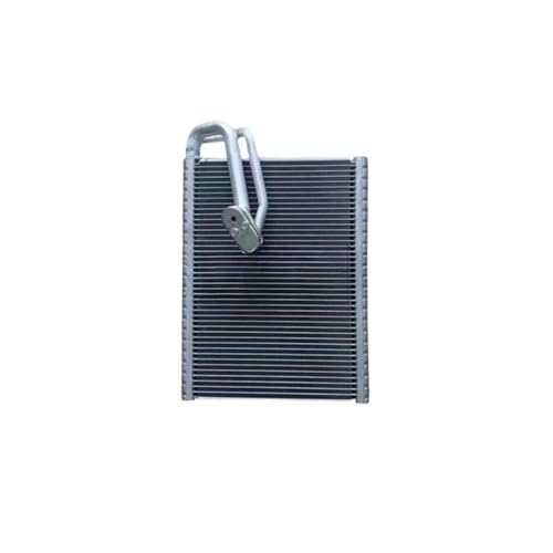 laiyonggr 4M1820023A 4M1820023 Kompatibel for Audi A5 A6 C8 Verdampfer 4M1820023B 4M1-820-023-B 8W0816679 8W0-816-679 von laiyonggr