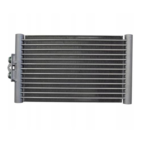 laiyonggr A/C-Kondensator kompatibel for MERCEDES-BENZ CLK500 2007-2009 CLS63 ML63 E63 AMG 2115000200 2015001700 2115001600 376747201 A2115000200 A2115 laiyonggr A/C-Kondensator kompatibel for MERCEDES-BENZ CLK500 2007-2009 CLS63 ML63 E63 AMG 2115000200 2015001700 2115001600 376747201 A2115000200 A2115 von laiyonggr