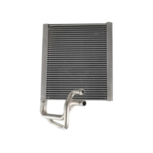laiyonggr AC-Verdampferkern, kompatibel mit Renault Fluence/Megane III, for Reparaturteile for automatische Klimaanlagen(Type 1) von laiyonggr