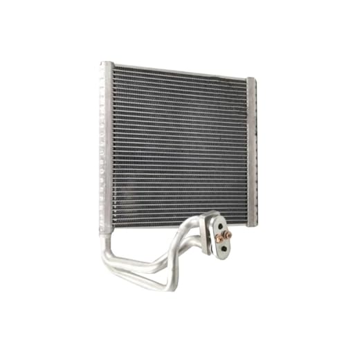 laiyonggr AC-Verdampferkern, kompatibel mit Renault Fluence/Megane III, for Reparaturteile for automatische Klimaanlagen(Type 2) von laiyonggr