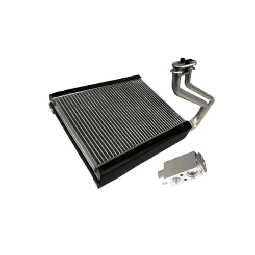 laiyonggr AC-Verdampferkern 31436487 LR097253 Kompatibel mit Land Rover Discovery L550/Freelander 2 L359 Kompatibel mit Range Rover L538 Kompatibel mit Volvo S60 S80 V60 XC60XC70(Core and Valve) von laiyonggr