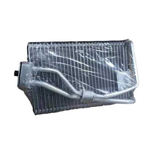 laiyonggr Auto AC Verdampfer Kondensator Kompatibel for Bentley Continental Flying Spur GT/GTC OEM 3D0820105 4D0898037A von laiyonggr