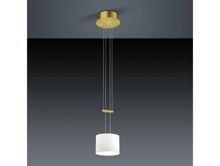 BANKAMP Hängelampe Grazia, dimmbar, messing / gold, für Wohn- / Esszimmer, Glas, Modern BANKAMP Hängelampe Grazia, dimmbar, messing / gold, für Wohn- / Esszimmer, Glas, Modern von lampenwelt.de