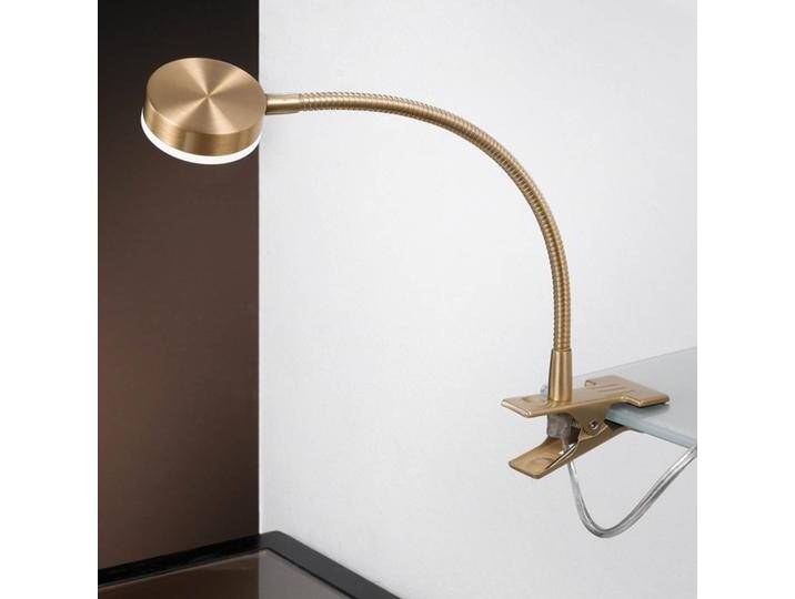 ORION Klemmleuchte Mira, messing / gold, für Arbeitszimmer / Büro, Metall, Modern, Klemmleuchte von lampenwelt.de