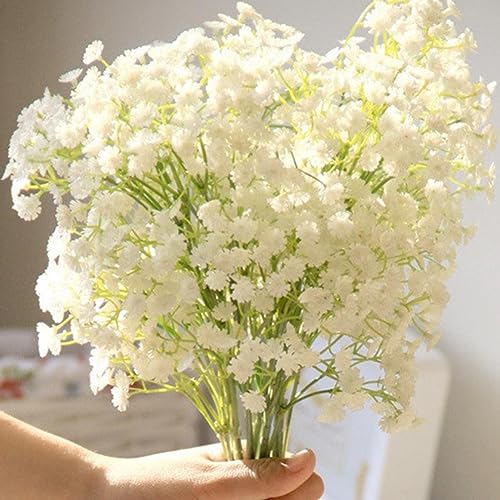 30 Stück bunte Schleierkraut-Samen, Blumengarten-Bonsai-Pflanzendekoration für Gartenbepflanzung Weiß von lamphle