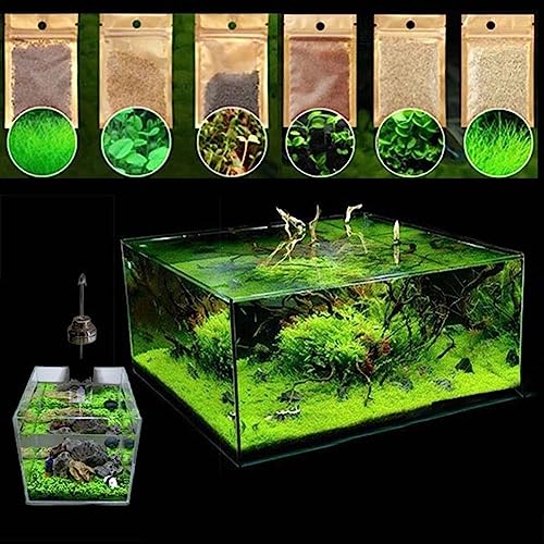 600 Stücke Wassersport Wasser Gras Pflanzensamen Aquarium Aquarium Landschaft Dekoration Blume Obstbaum Gemüsesamen Samen von Wassergras 600 Stück von lamphle