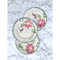 Saint Amand Et Hamage Frankreich - 3 Alte Steingutteller, Verziert Mit Großen Rosa Und Grünen Blumen Saint Amand Et Hamage Frankreich - 3 Alte Steingutteller, Verziert Mit Großen Rosa Und Grünen Blumen von lartetlesmanieres