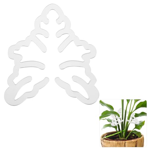 Monstera Grapple, Transparenter Pflanzstäbe für Zimmerpflanzen Ästhetische Pflanzenstäbe für Zimmerpflanzen Monstera Grapple Um Pflanzen zu Zahm zu Halten Und Vertikal Wachsen zu Lassen von lasuroa