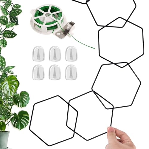 Pentagon Kettenspalier für Kletterpflanzen, 2,29 m Rankhilfe für Kletterpflanzen Kettenspalier für Zimmerpflanzenzubehör Indoor Kletterpflanzenstütze für den Außenbereich Gartenpflanzen von lasuroa