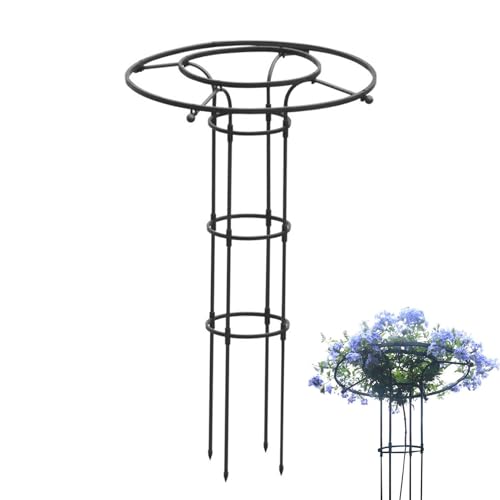 laxreheye Garten Rankgitter für Kletterpflanzen - Stützgerüst Für Rankpflanzen Im Garten | Dekoratives Spalier Für Gemüseblumen & Rankpflanzen Im Garten, Rasen & Außenbereich von laxreheye