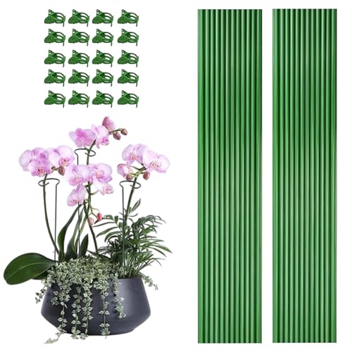 laxreheye Rankhilfe für den Innenbereich, Gartenstäbe mit Befestigungen, biegbare Befestigungen für Tomatenstängel, und Blumen laxreheye Rankhilfe für den Innenbereich, Gartenstäbe mit Befestigungen, biegbare Befestigungen für Tomatenstängel, und Blumen von laxreheye