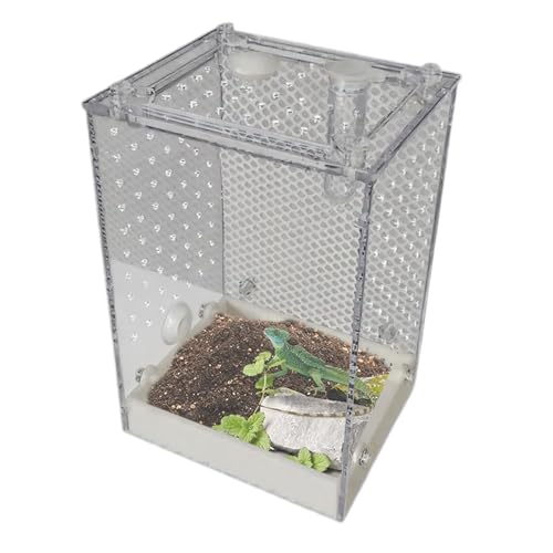 laxreheye Springspinnen Terrarium,Durchsichtige Beobachtungsbox für Käfer | Abnehmbares Zuchthabitat Für Gottesanbeterin Skorpion Ameise Heimchen Schabe Haus Unterricht von laxreheye