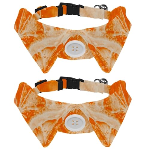 Hundehalsband mit Fliege und Glöckchen, Obst-Orange, Kunstmalerei, verstellbares Revers-Design, Katzenfliege, Halsband für kleine Haustiere, 2 Stück von lcndlsoe