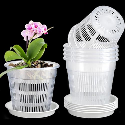 lcvtos 5 Stück Orchideentopf,14cm Atmungsaktiver Blumentopf,Transparent Übertopf mit Ablauflöchern,Palette inklusive, Kunststoff-Blumentopf für den Innenbereich, für kleine und mittelgroße Orchideen von lcvtos