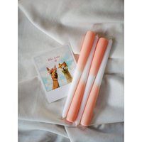 Dip Dye Kerze | 24cm 4Er Set Spitzkerze Tafelkerze Für Kerzenschale Kerzenständer von lebFreier