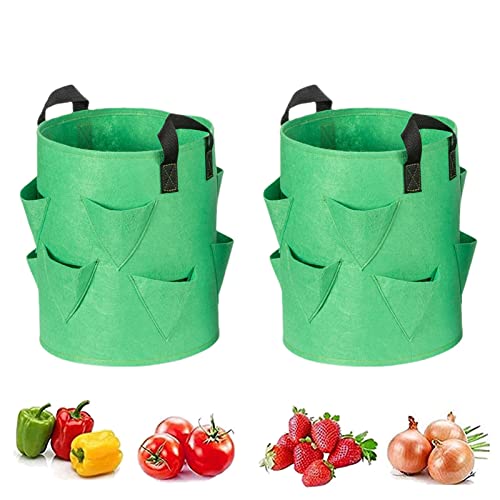 lembrd Erdbeere Pflanzsack, 2 Stück 10 Gallonen Pflanzen Tasche Grow Tasche Pflanzbeutel Mit 9 Löchern, Kartoffel Pflanzsack Hängend Erdbeeren Pflanztaschen Mit Griffe Für Pflanzen/Kräuter/Blumen von lembrd