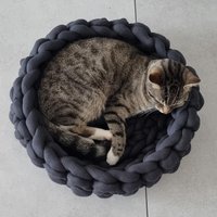 Katzenbett Katzenkorb Hundebett Hundekörbchen Chunky Grobstrick Grau Oder Cremefarben 50cm Durchmesser Weich Gepolstert Katzenbett Katzenkorb Hundebett Hundekörbchen Chunky Grobstrick Grau Oder Cremefarben 50cm Durchmesser Weich Gepolstert von lenalovesknitting