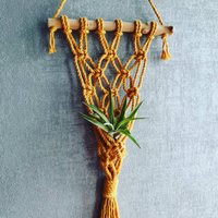 Luftpflanzen-Hänger Luftpflanzenhalter Wandbehang Pflanzenhänger Blumenampel Makramee Geknüpft Aus 100% Recycelten Baumwolle von lenalovesknitting