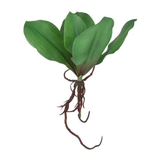 LEORX Künstliche grüne Blume Schaum Phalaenopsis Orchidee Blatt Pflanze Blatt von LEORX