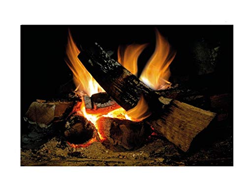 Wandaufkleber Kamin mit brennendem Holzfeuer Urlaub Wandaufkleber Dekoration Brennholz Flammen Fotorealistische Kunst Poster (Custom, Log Fire) von lepni.me