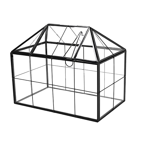 lesolar Terrarium Mini Gewächshaus Glas Geometrische Pflanze Terrarium,Sukkulent Luft Pflanzgefäß mit Klappdeckel für Home Garden Office Dekoration von lesolar